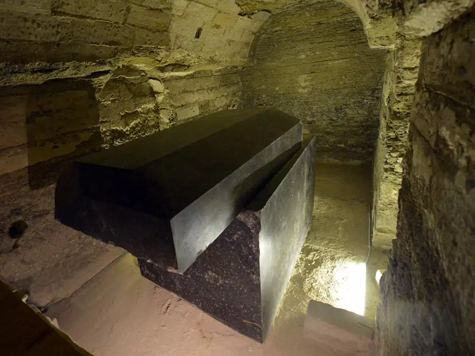 Specimen 829 Specimen Database Wiki Fandom