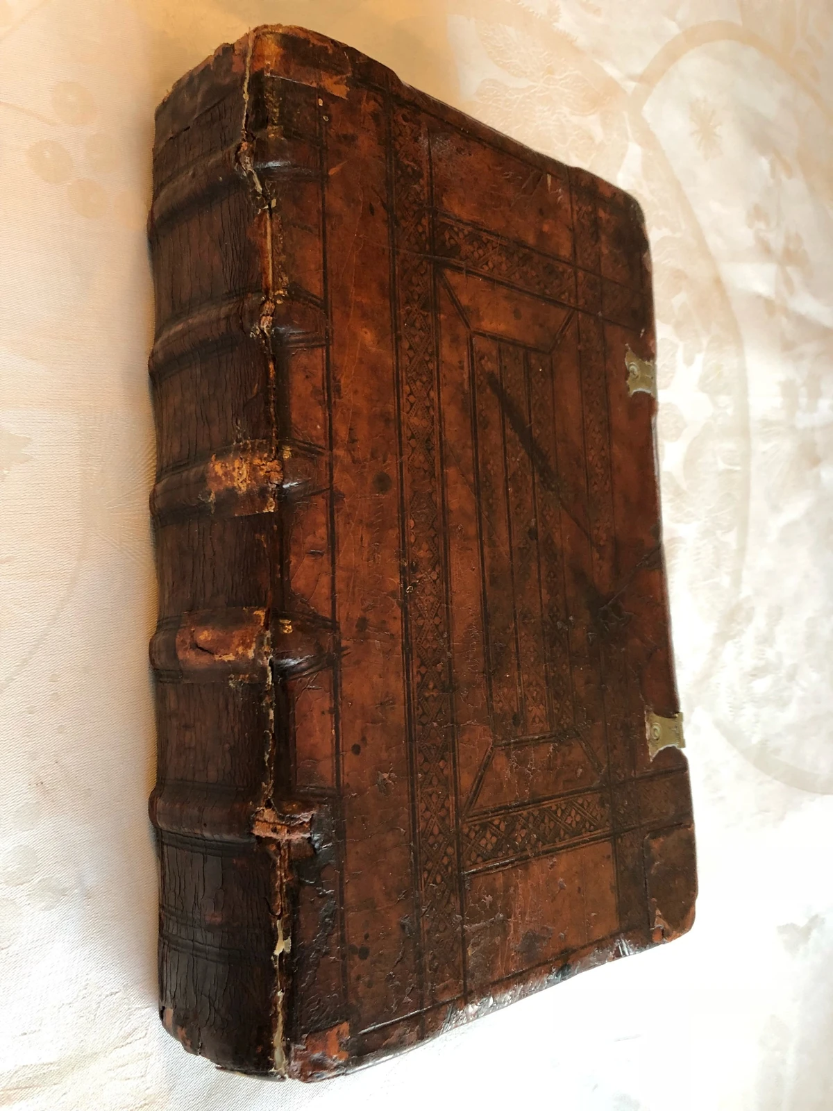 Specimen 52 Specimen Database Wiki Fandom