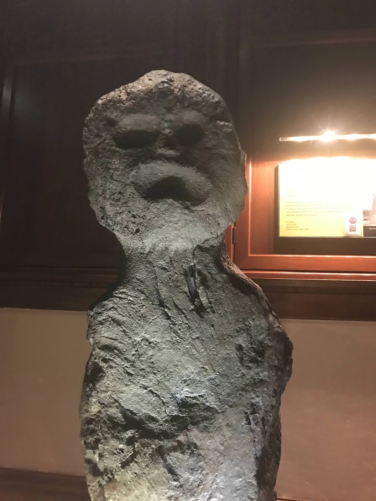 Specimen 17 Specimen Database Wiki Fandom