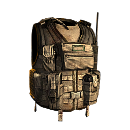 Radio Accessory.png