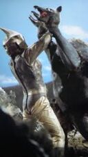 Nezubirdon 7