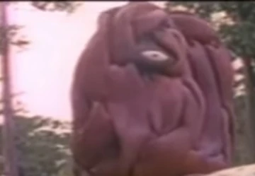 Alien Zuno | Spectreman Wiki | Fandom