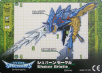 Shakor Bristle Card