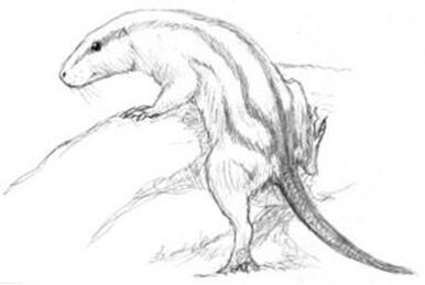 Eutriconodonta - Wikipedia