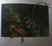 SkullIslandsWildife038.