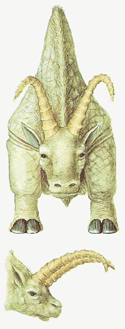Valuphant