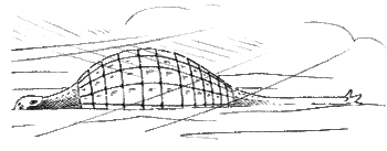 By settling down into a hollow and presenting its streamlined armored surfaces to the wind the taranter can withstand the stinging sand and dust storms that are common in the area.