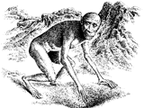 Water-Seeker