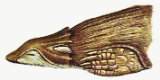 Rootsucker