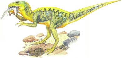 The dwarf megalosaur is a very agile and nimble animal. It usually hunts singly and can prey on the many seabirds that feed in flocks along the tideline. The megalosaur is athletic enough to sprint along the beach and snatch the birds out of the air as they flutter in panic into the sky.