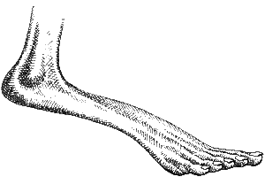 Plains-Dweller foot