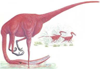 The cribrum stands in the shallow water, often on one leg, and feeds by sieving the water through its finely toothed jaws. It swings its head around in a wide arc to cover as much water as possible. There are few predators on the shores of the salty lakes, but when one does appear, slinking down to the water's edge to try and trap an unwary cribrum, the herds panic and scatter in all directions. The milling surge of pink distracts and confuses the hunter, while the voluminous curtains of spray thrown up by the dash through the shallow water conceals the direction of the fleeing herd.