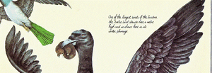 Bootie bird