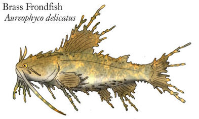 Brass frondfish