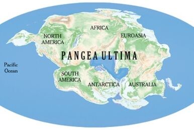 PANGEA D VINCI 🧩🇯🇵 on X: @newworldartur Arturo, did you know