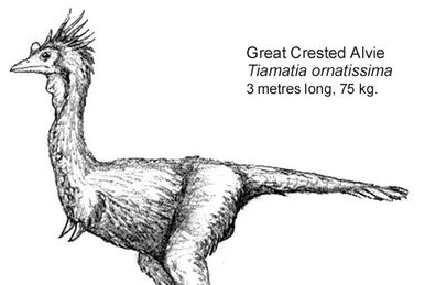 Tyrannosauroidea ( Dinolandia ), Speculative Evolution Wiki