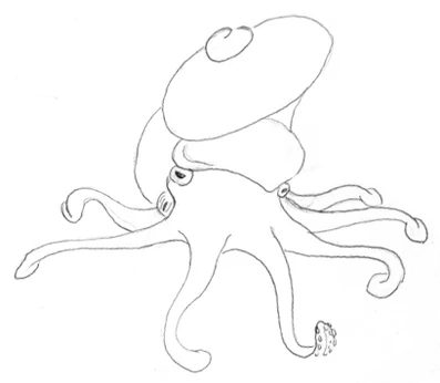 Benthic crawler (Helicornis benthicus)