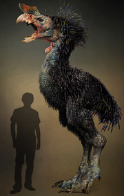 Tyrannornis imperator