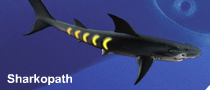 Sharkopath