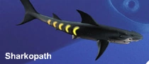Sharkopath