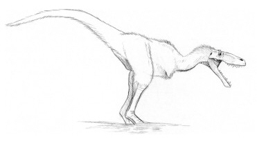 Tyrannosauroidea ( Dinolandia ), Speculative Evolution Wiki