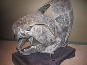 Gnathal plates on a Dunkleosteus skull.