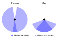 Field-of-view