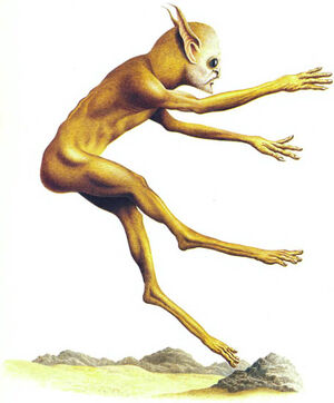 Desert runner.jpg