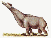 The Long-necked gigantelope from the African grasslands, and a tree browser.