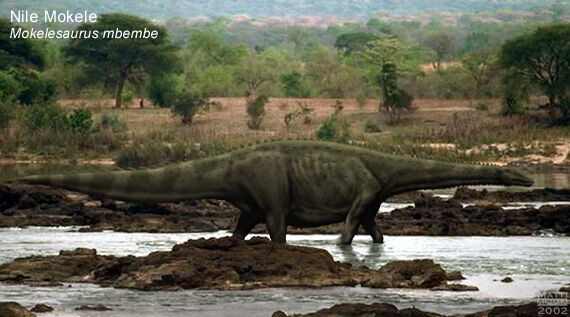 Speculative Biology of the Mokele-Mbembe! 