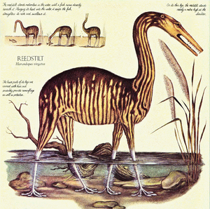 Reedstilt