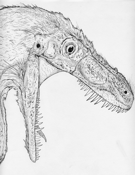 Spec Dinosauria: Boreonychidae | Speculative Evolution Wiki | Fandom