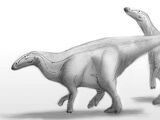 Spec Dinosauria: Neohadrosauria