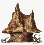 Gholes termites