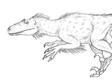Spec Dinosauria: Hesperonychidae
