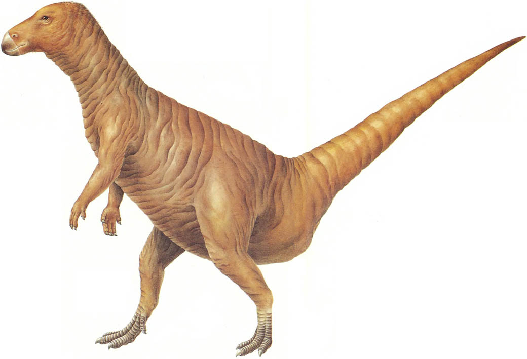 bipedal dinosaurs list