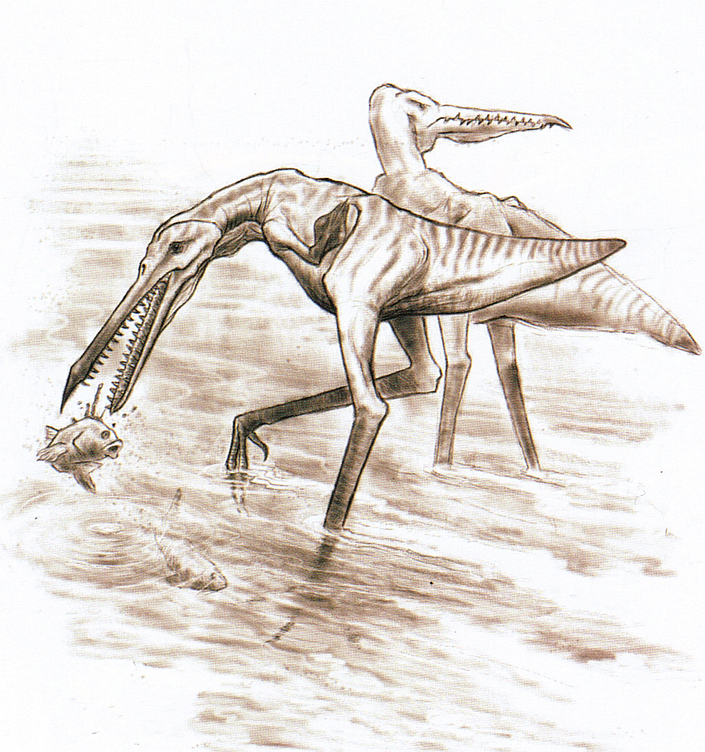 Relistic pterodactyl species : r/SpeculativeEvolution