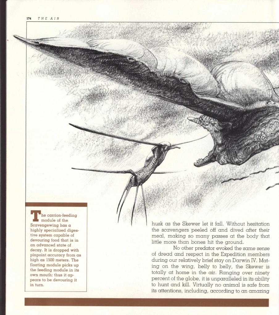 Scavengewing | Speculative Evolution Wiki | Fandom