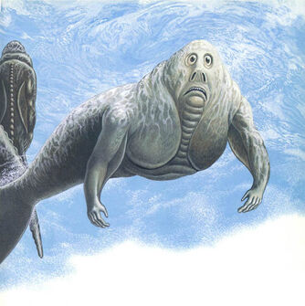 Aquatic group.jpg