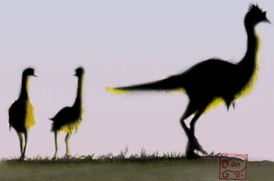 (fig. 2) Great crested alvie with young