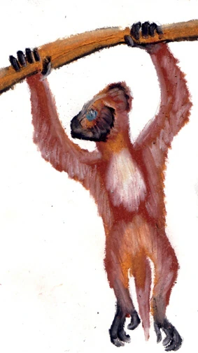 Painted teddy