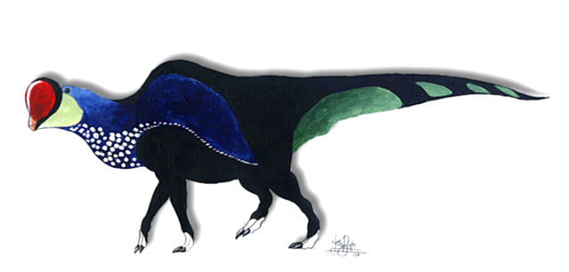 Neostellasaurus pictus-0