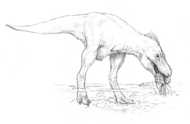 Tyrannosauroidea ( Dinolandia ), Speculative Evolution Wiki