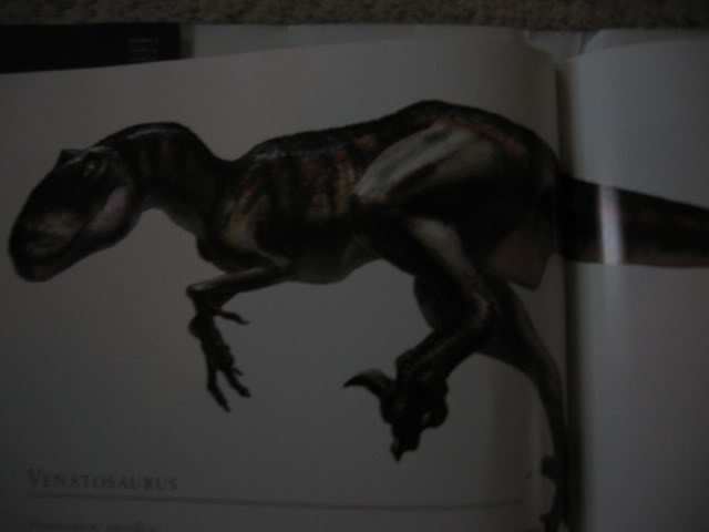 venatosaurus vs velociraptor