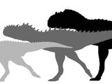 Spec Dinosauria: Abelisauroidea