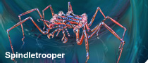 Spindletrooper, a sea spider that defends ocean phantoms from predators