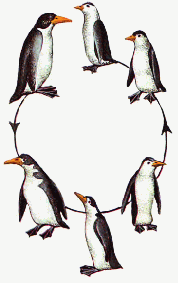 Flightless auk subspecies