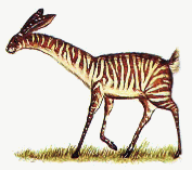 The Strank, an African grassland-dwelling rabbuck that replaces the niche of the zebra.