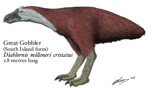 Tyrannosauroidea ( Dinolandia ), Speculative Evolution Wiki