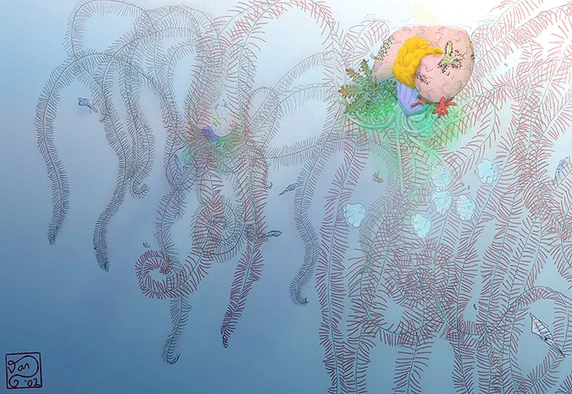 Blue-hooded barrelfish (Sphaeroconus rotundus)